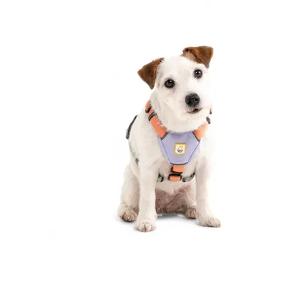 Woolly Wolf Harnais Color Block Salmon Pink Mix