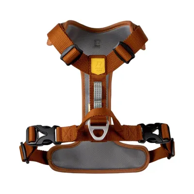 Woolly Wolf Harnais pour chien Roam Terracotta