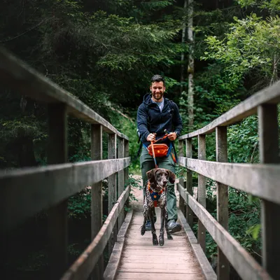 Woolly Wolf Harnais Color Block Lime Mix