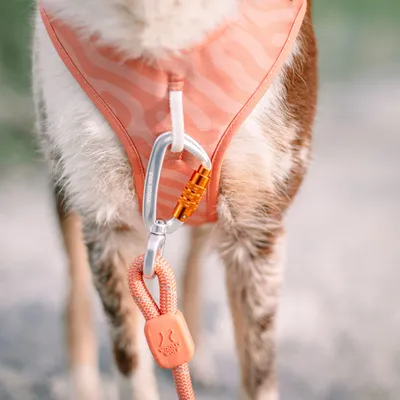 Woolly Wolf Harnais pour chien Roam Salmon Pink
