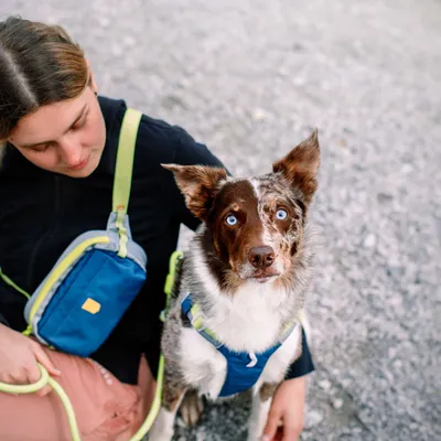 Woolly Wolf Sac Banane Alpha 360 Deep Teal Mix