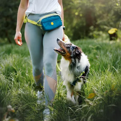 Woolly Wolf Sac Banane Alpha 360 Deep Teal Mix