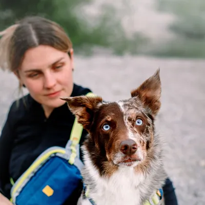 Woolly Wolf Sac Banane Alpha 360 Deep Teal Mix