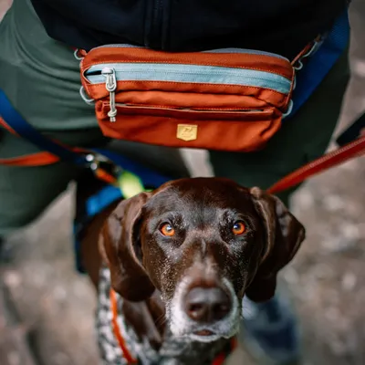 Woolly Wolf Sac Banane Alpha 360 Terracotta Mix