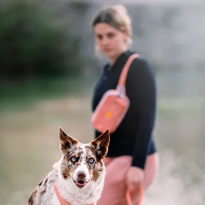 Woolly Wolf Sac Banane Alpha 360 Salmon Pink Mix