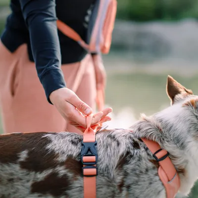 Woolly Wolf Sac Banane Alpha 360 Salmon Pink Mix