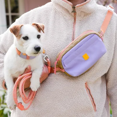 Woolly Wolf Sac banane Alpha 360 Lavender Mix