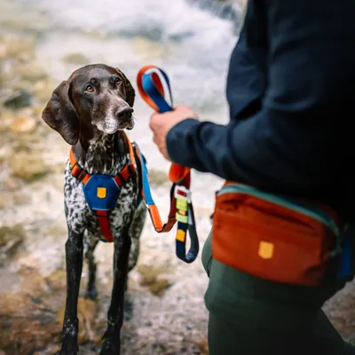 Woolly Wolf Laisse Color Block Multi-Use Terracotta Mix