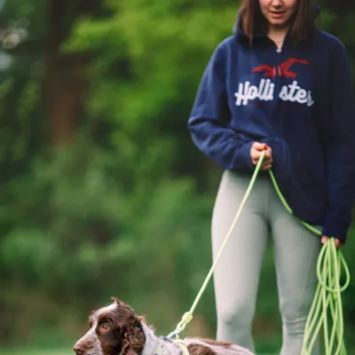 Woolly Wolf Laisse Long Rope Lime