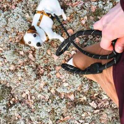 Woolly Wolf Laisse Rope Raven Black