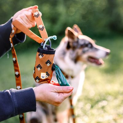 Woolly Wolf Laisse Sea To Summit