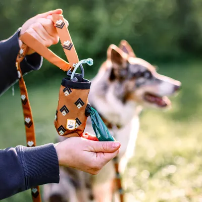 Woolly Wolf Laisse Sea To Summit