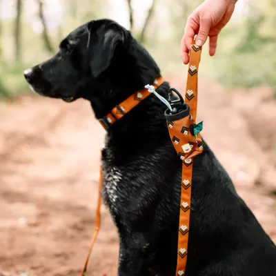 Woolly Wolf Laisse Sea To Summit