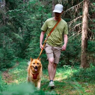 Woolly Wolf Laisse Roam Adjustable Terracotta