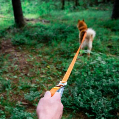 Woolly Wolf Laisse Roam Adjustable Terracotta