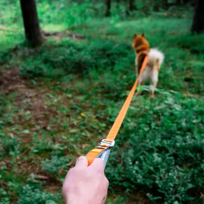 Woolly Wolf Laisse Roam Adjustable Terracotta