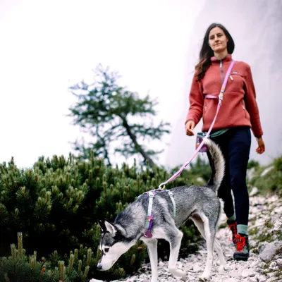 Woolly Wolf Laisse Color Block Multi-Use Mauve Mix