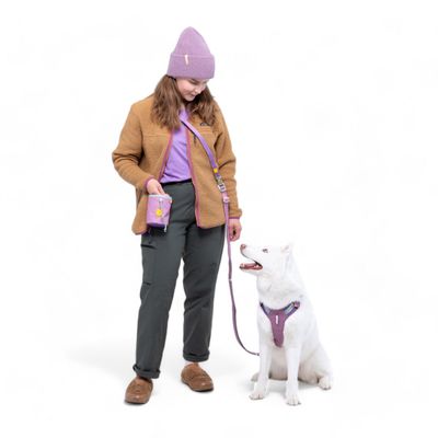 Woolly Wolf Laisse Color Block Multi-Use Mauve Mix