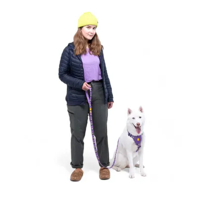 Woolly Wolf Laisse Northern Lights