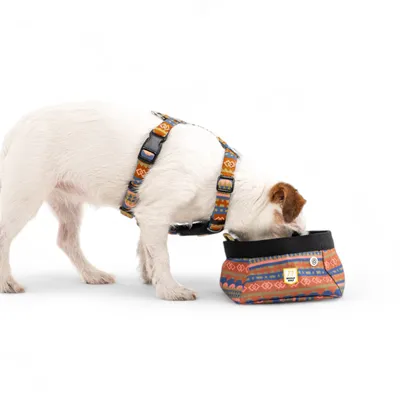 Woolly Wolf Gamelle de Voyage Nightless Night