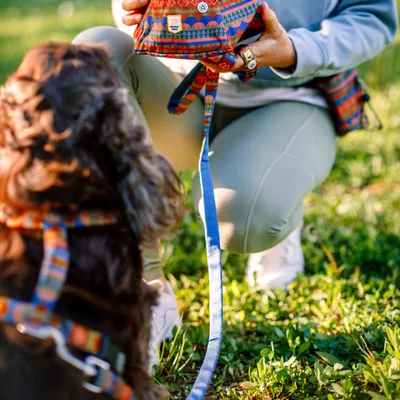 Woolly Wolf Gamelle de Voyage Nightless Night