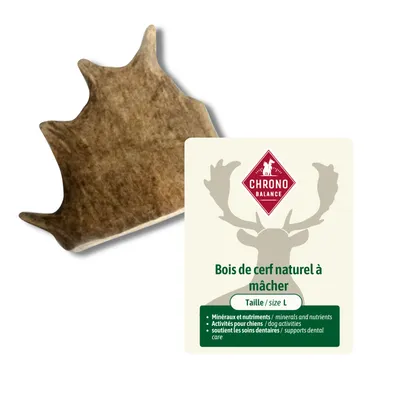 ChronoBalance - bois de cerf naturel à mâcher pour chien