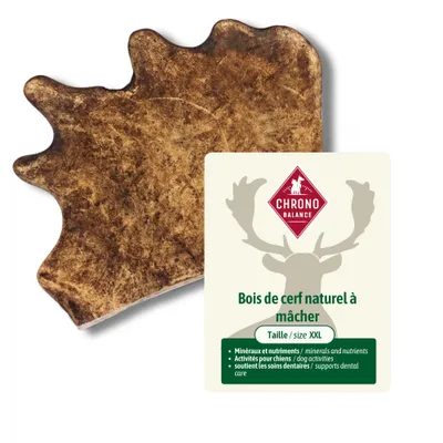 ChronoBalance - bois de cerf naturel à mâcher pour chien
