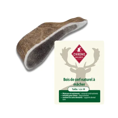ChronoBalance - bois de cerf naturel à mâcher pour chien