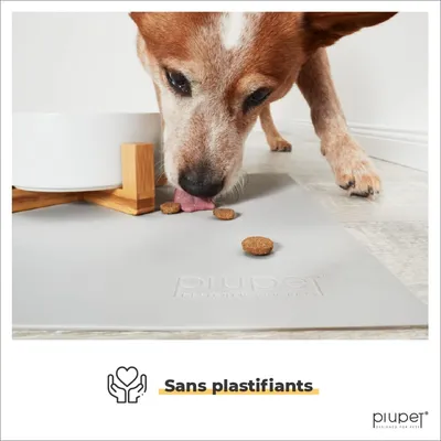 PiuPet® Tapis pour Gamelle Chien & Chat I 60x40cm I Imperméable
