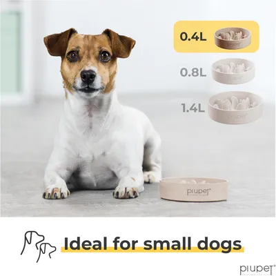 PiuPet® Gamelle Anti-Glouton Chien I 0,4L I Grande Taille I Lave-Vaisselle