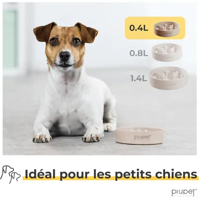 PiuPet® Gamelle Anti-Glouton Chien I 0,4L I Grande Taille I Lave-Vaisselle