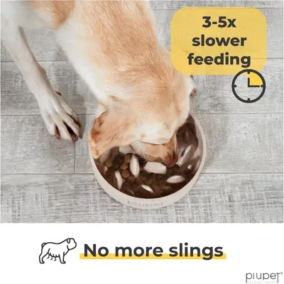 PiuPet® Gamelle Anti-Glouton Chien I 0,4L I Grande Taille I Lave-Vaisselle