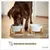PiuPet® Hundenapf mit Ständer I 2X Napf für Hunde & Katzen 850ml