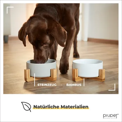 PiuPet® Hundenapf mit Ständer I 2X Napf für Hunde & Katzen 850ml