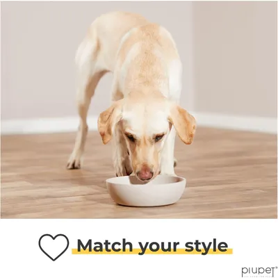 PiuPet® Gamelle Chien I 2x1,6L I Beige I Lavable en Lave-Vaisselle I 21,5cm