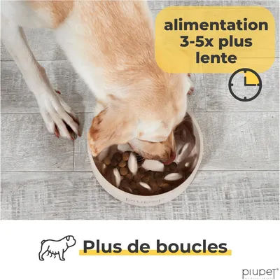PiuPet® Gamelle Anti-Glouton Chien I 1,4 I Grande Taille I Lave-Vaisselle