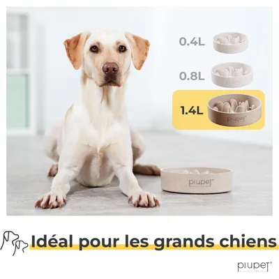 PiuPet® Gamelle Anti-Glouton Chien I 1,4 I Grande Taille I Lave-Vaisselle
