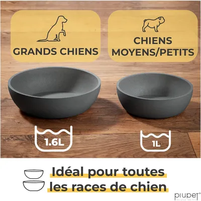 PiuPet Lot de 2 écuelles pour chiens