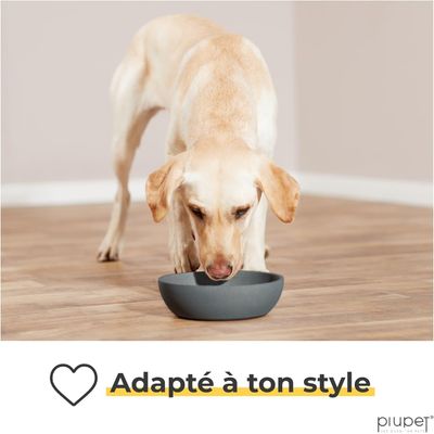 PiuPet Lot de 2 écuelles pour chiens