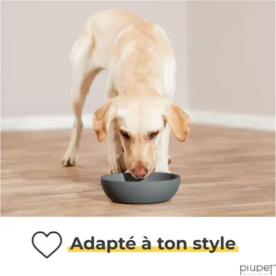 PiuPet Lot de 2 écuelles pour chiens