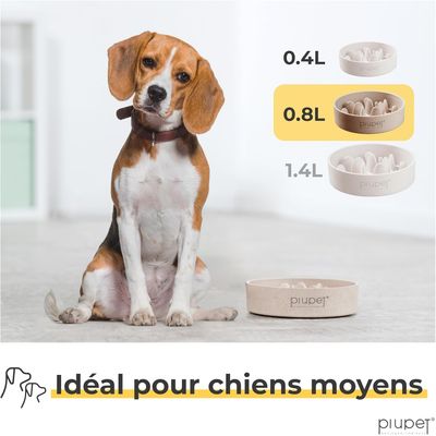 PiuPet® Gamelle Anti-Glouton Chien I 0,8L I Grande Taille I Lave-Vaisselle