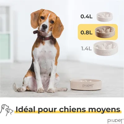PiuPet® Gamelle Anti-Glouton Chien I 0,8L I Grande Taille I Lave-Vaisselle