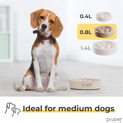 PiuPet® Gamelle Anti-Glouton Chien I 0,8L I Grande Taille I Lave-Vaisselle