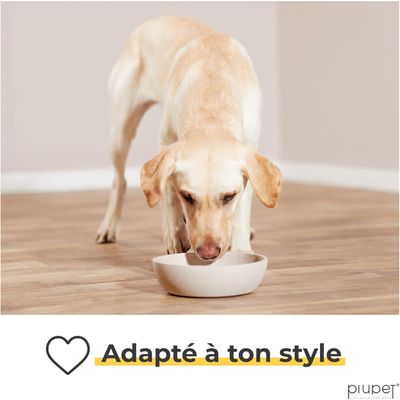PiuPet Lot de 2 écuelles pour chiens