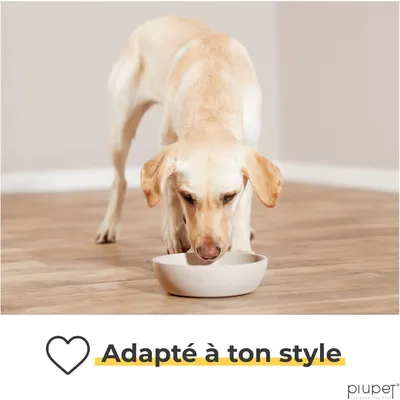 PiuPet Lot de 2 écuelles pour chiens