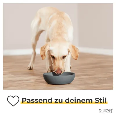 PiuPet® Futternapf und Wassernapf für Hunde I Spülmaschinenfest I 2er Set