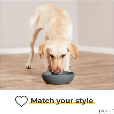 PiuPet Lot de 2 écuelles pour chiens