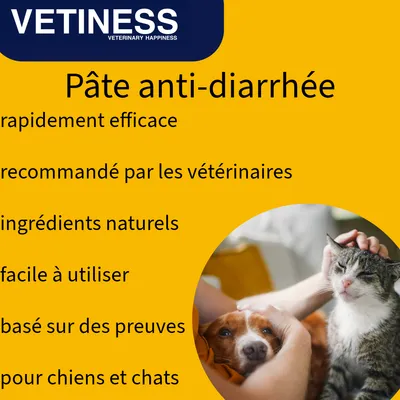 Vetiness Pâte antidiarrhéique Diarrhoeastop