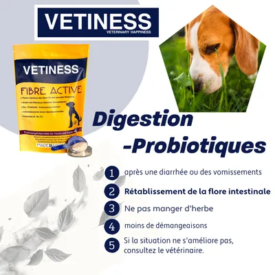 Vetiness Probiotique Fibre Active