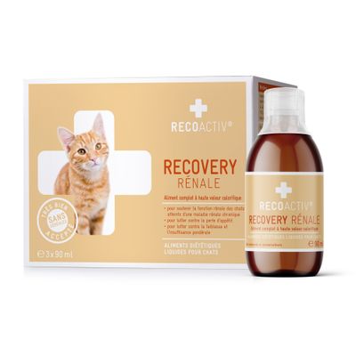 Recovery Rénale Tonique 3x90ml